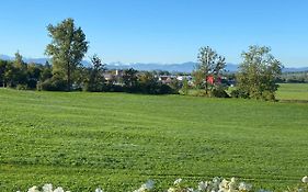 Gemütliche Wohnung mit Ofen und Naturblick